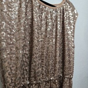 Gold Sequin Lane Bryant Dress